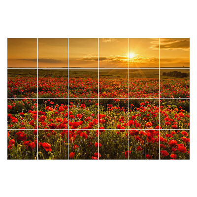 Autocolante gresie Lunca de flori la apus