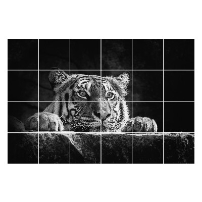 Autocolante gresie Prim-plan al unui tigru