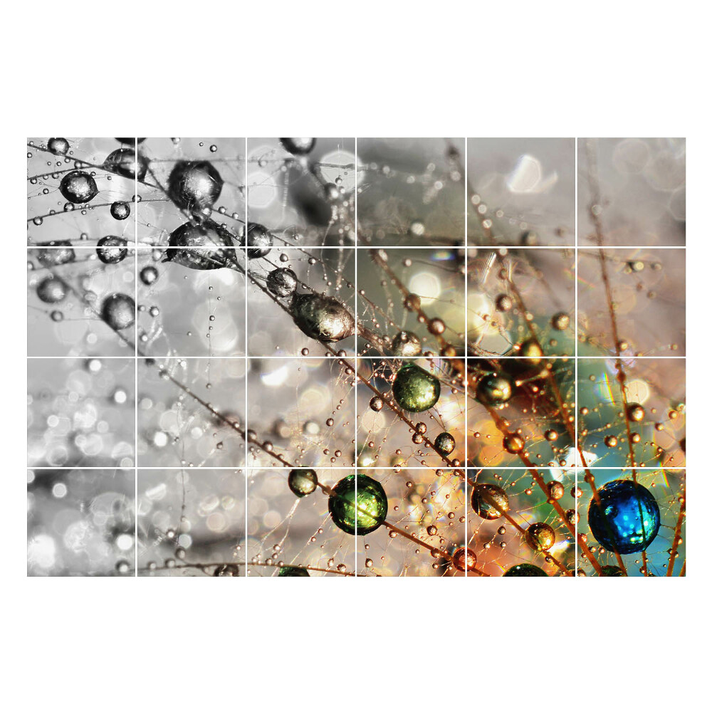 Autocolante gresie si faianta Picături pe fire delicate