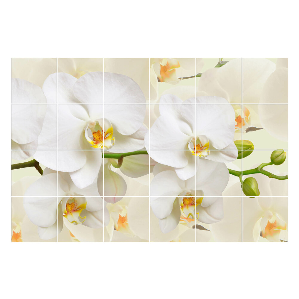 Autocolante pentru gresie Motive florale de orhidee