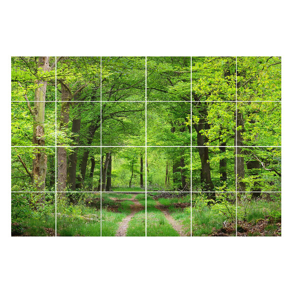 Autocolante pentru gresie Poteca de pădure în natură
