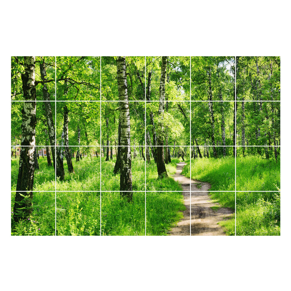 Autocolante pentru gresie Poteca de pădure în natură