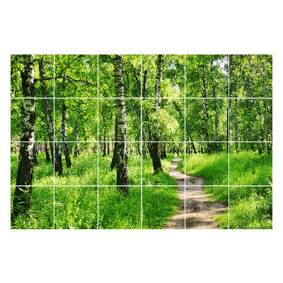 Autocolante pentru gresie Poteca de pădure în natură