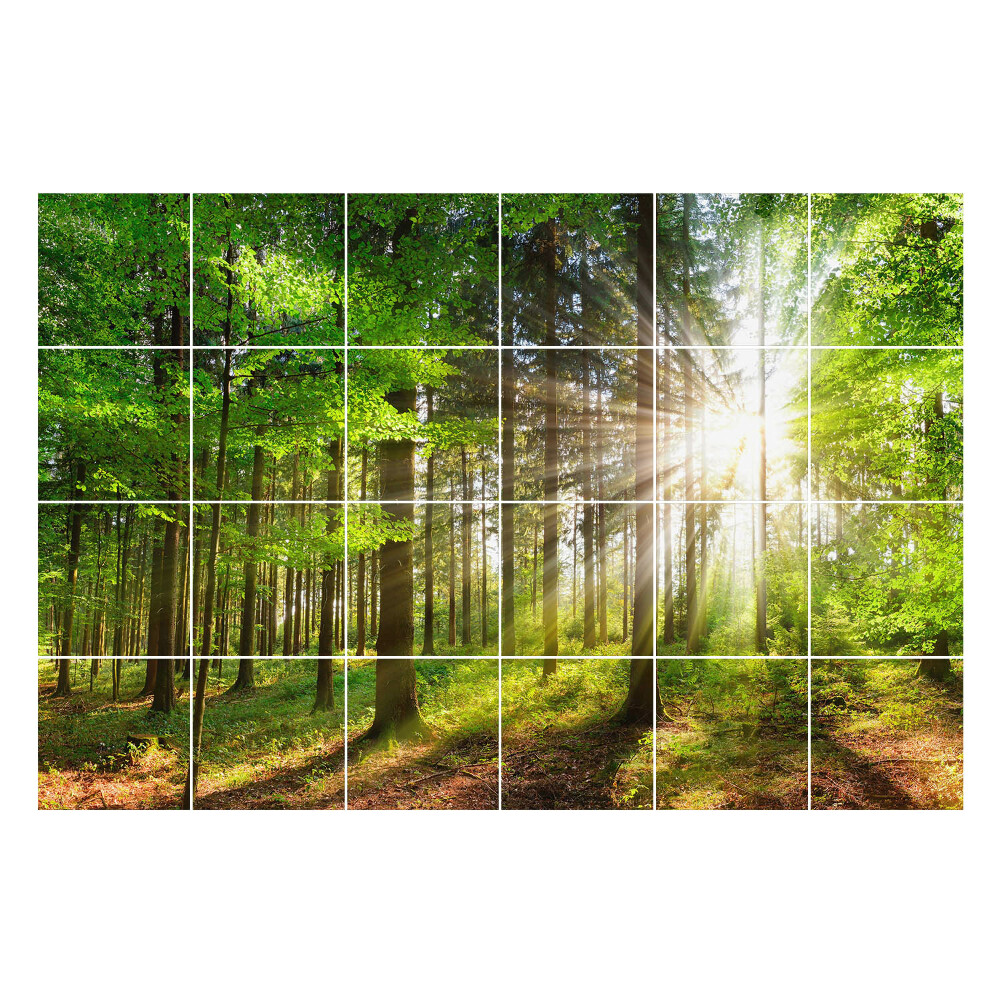 Autocolante gresie si faianta Raze de soare în pădure