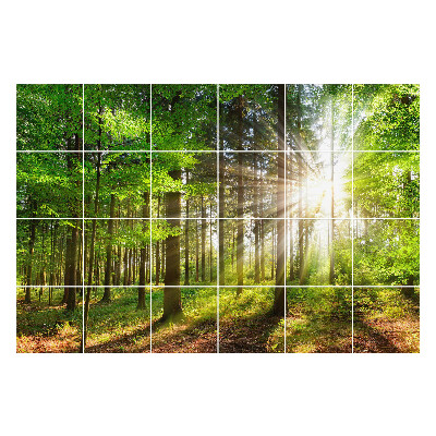 Autocolante gresie si faianta Raze de soare în pădure