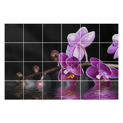 Autocolante gresie Flori pe apă