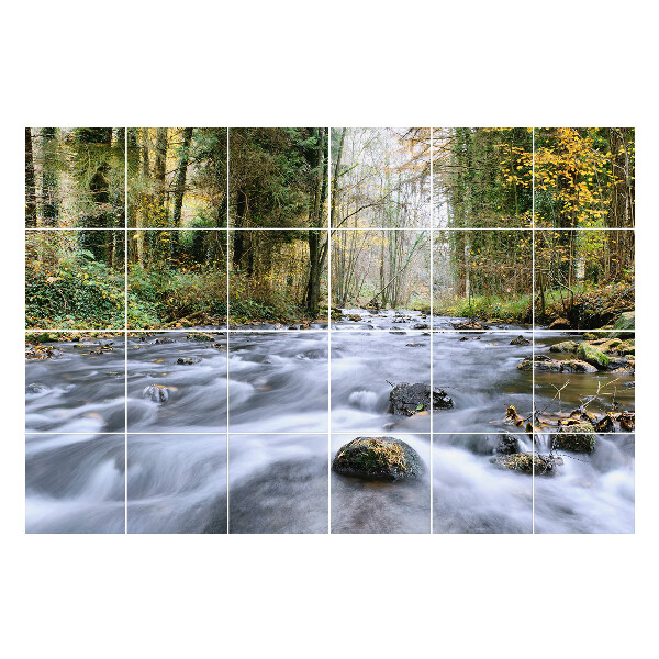 Autocolante pentru gresie Un pârâu în pădure cu pietre