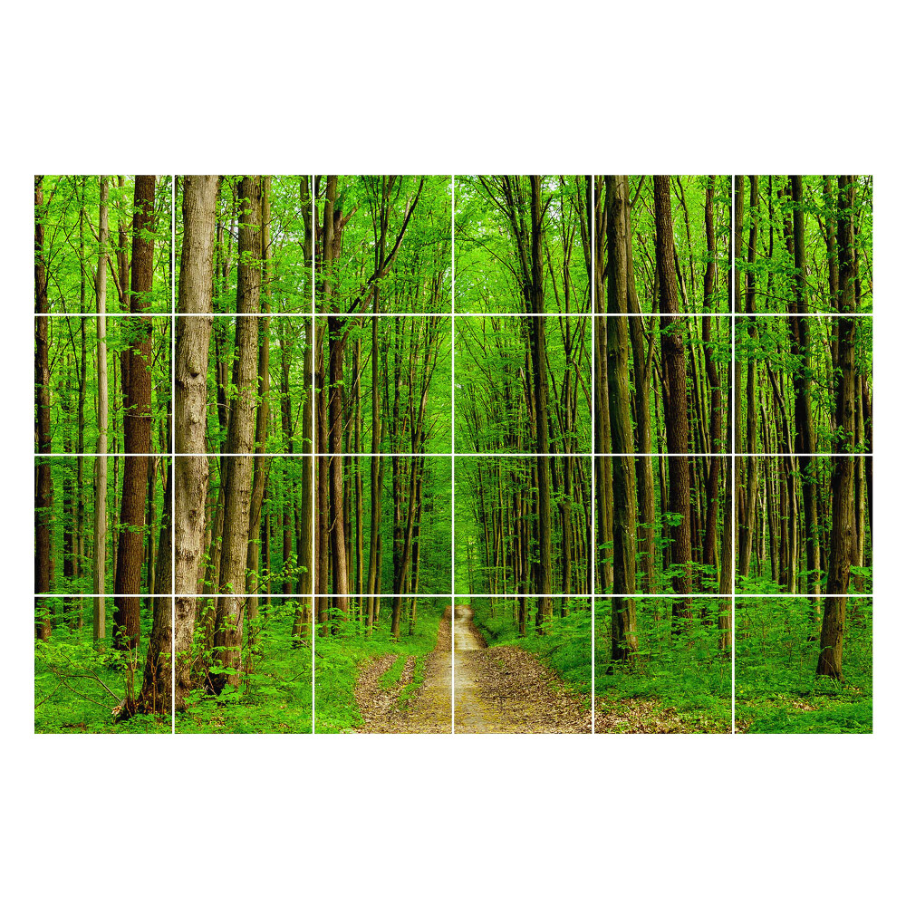 Autocolante pentru gresie Pista verde de pădure