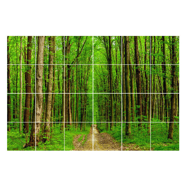 Autocolante pentru gresie Pista verde de pădure