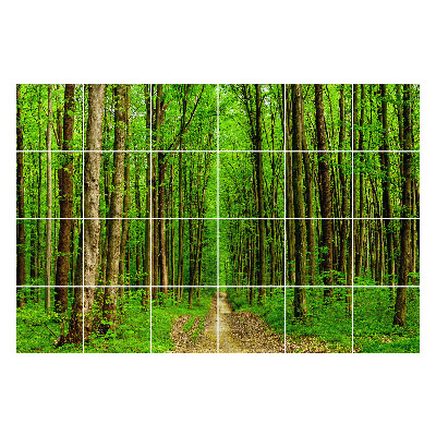 Autocolante pentru gresie Pista verde de pădure