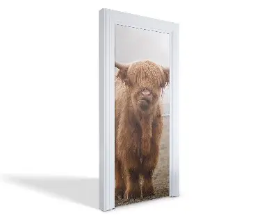 Autocolant pentru uși Vacă scoțiană Highland
