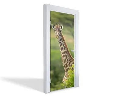 Autocolant pentru uși Girafă în natură