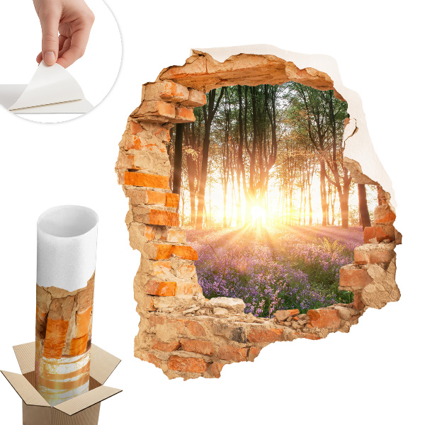 Sticker perete gaură 3D 111x130 Descoperire în pădure