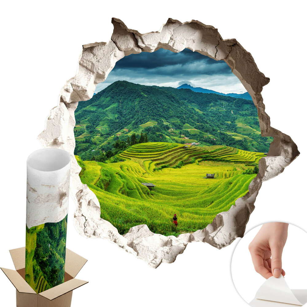 Sticker perete gaură 3D 130x123 Terase verzi