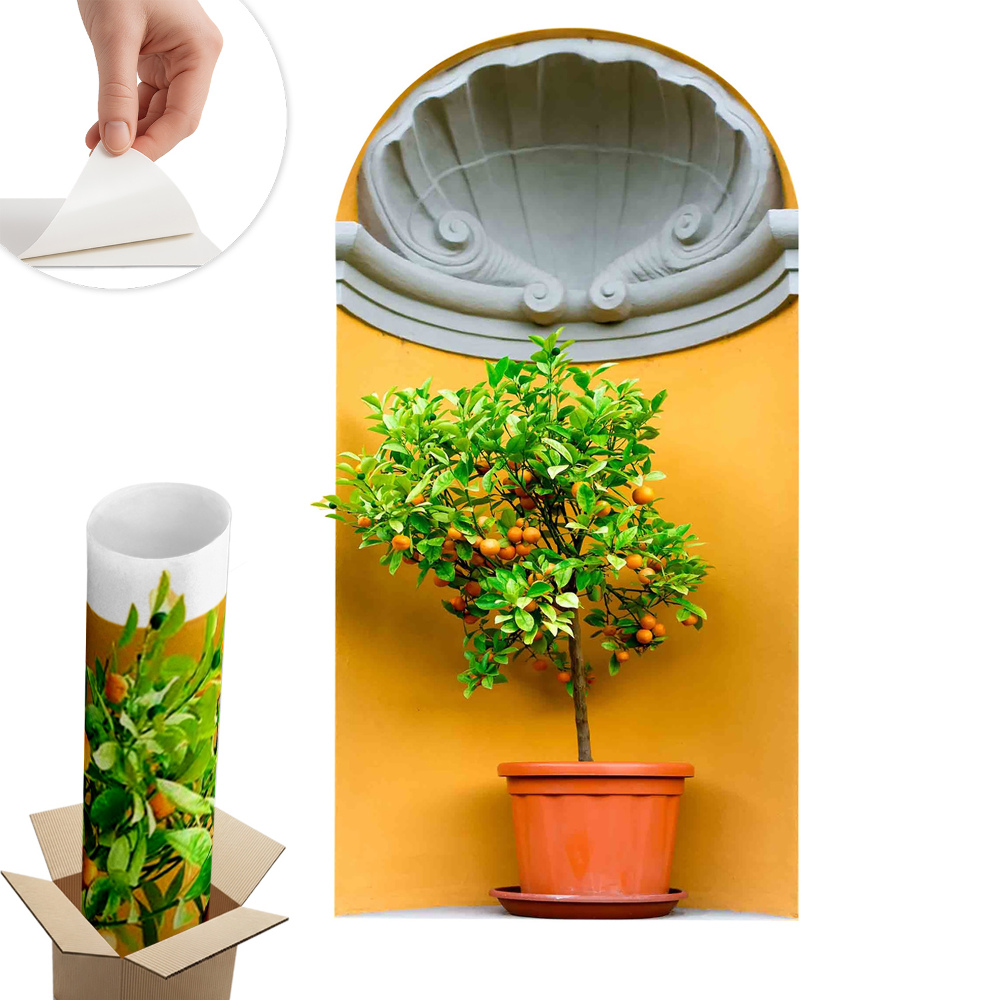 Abțibild perete 3d 33x60 Portocal