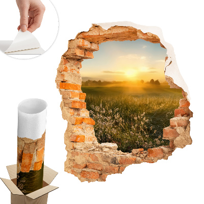 Sticker gaură 3D 68x80 Pajiște însorită