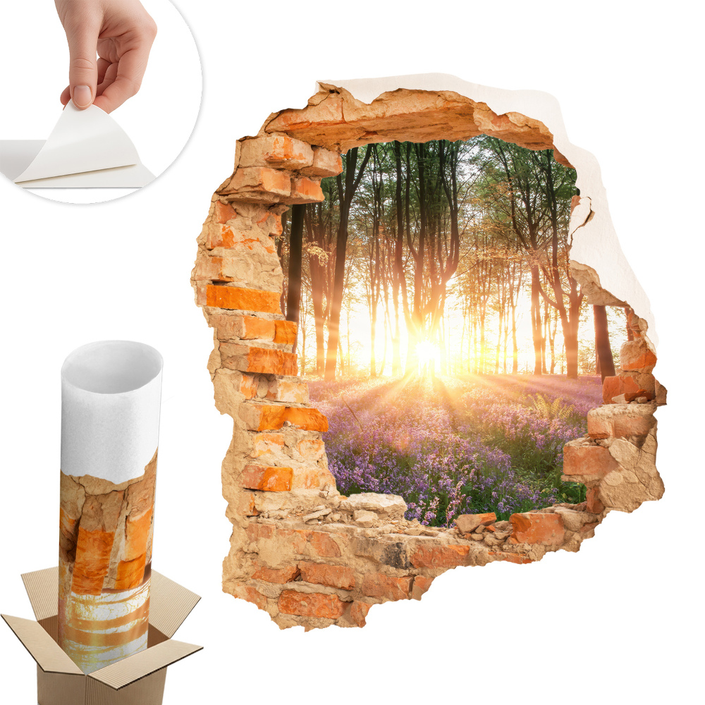 Sticker gaură 3D 68x80 Descoperire în pădure