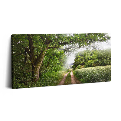 Tablou tipărite pe pânză 100x50 Căi printre copaci și raze de soare