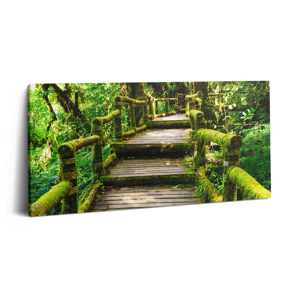 Tablou tipărite pe pânză 100x50 Pasarelă pietonală din lemn - agroturism