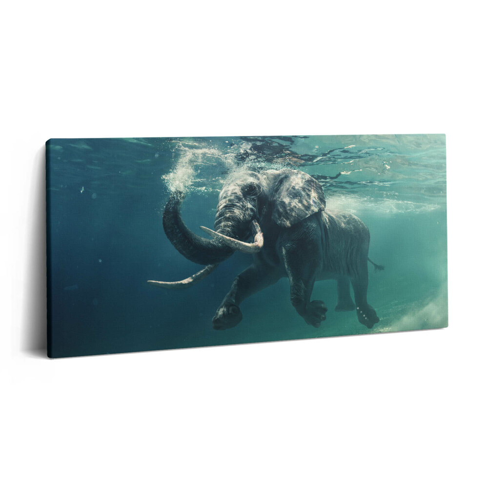 Tablou tipărite pe pânză 100x50 Elefant african în apă