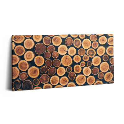 Tablou tipărite pe pânză 100x50 Trunchiuri de copaci din lemn