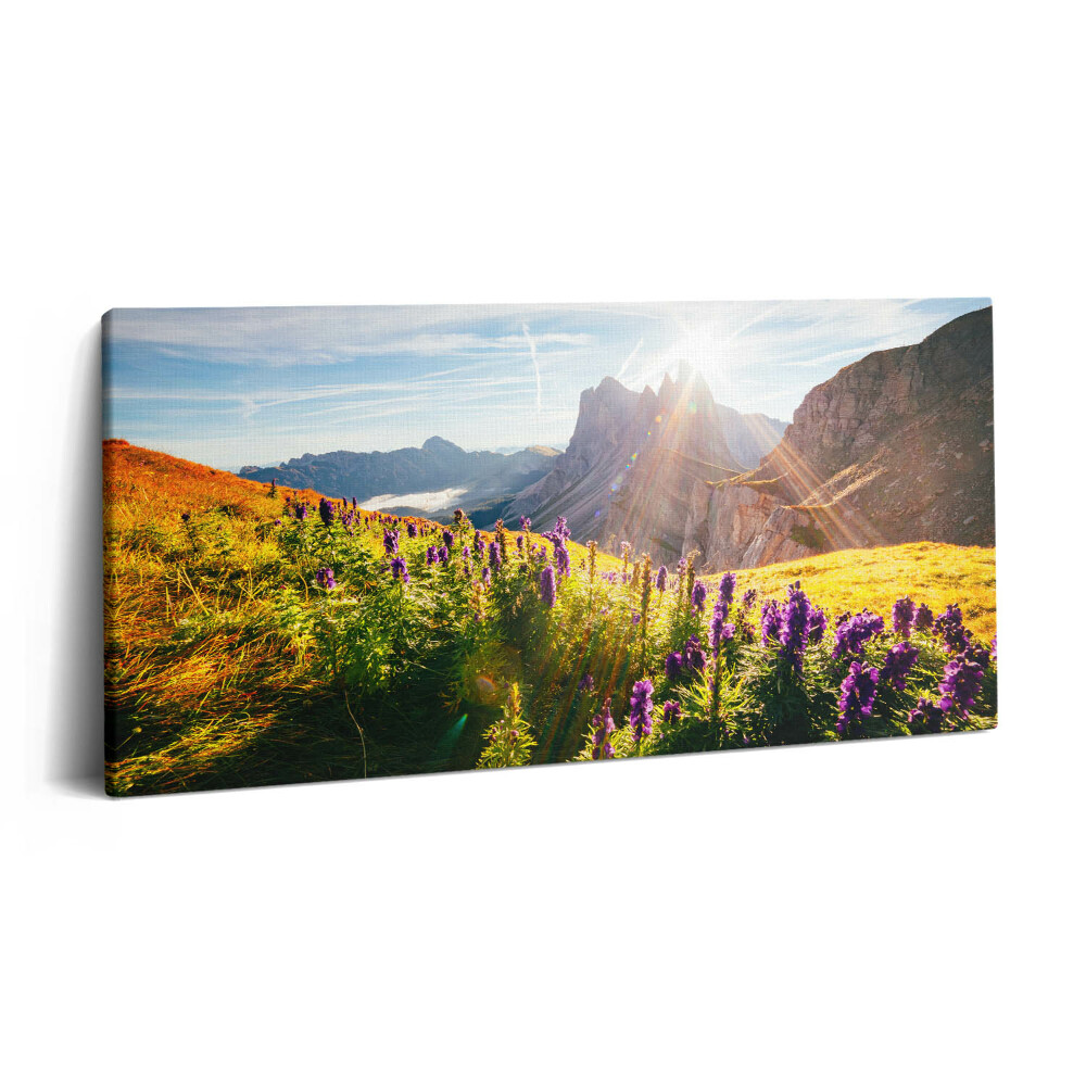 Tablou tipărite pe pânză 100x50 Peisaj dolomitic