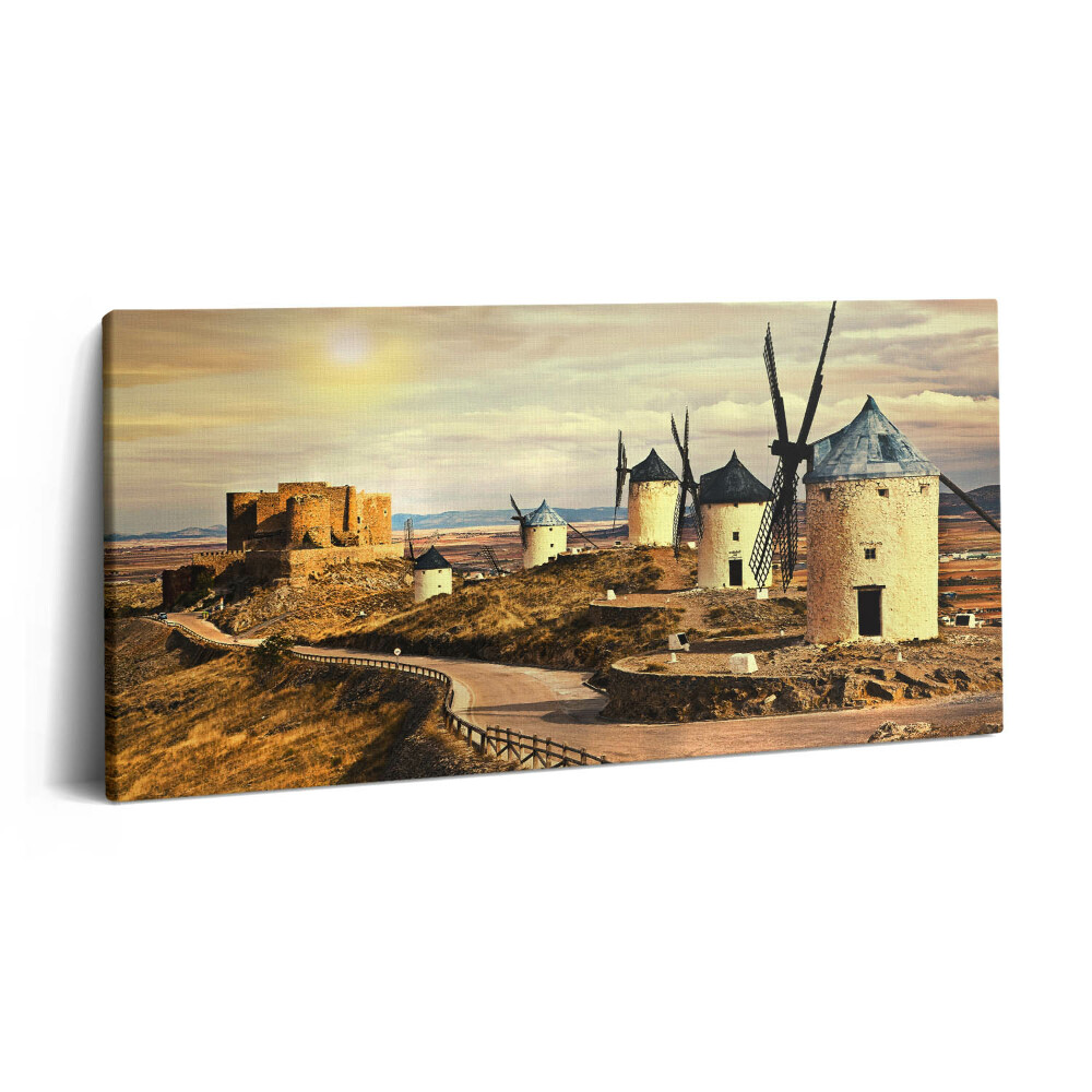 Tablou tipărite pe pânză 100x50 Morile de vânt din Cosuegra