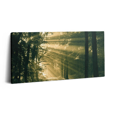 Tablou tipărite pe pânză 100x50 Razele soarelui în pădure