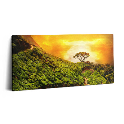 Tablou tipărite pe pânză 100x50 Dealul Ceaiului