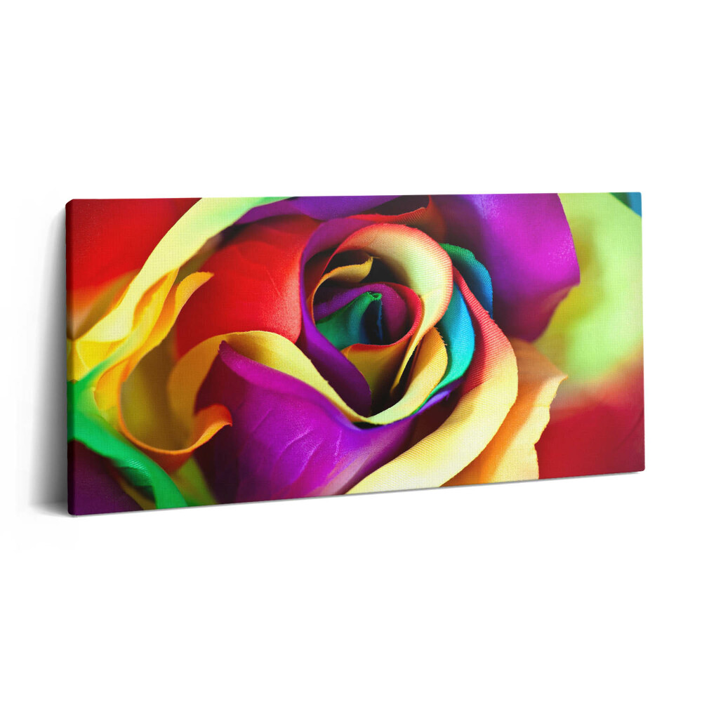 Tablou tipărite pe pânză 100x50 Trandafir Curcubeu