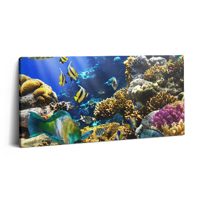 Tablou tipărite pe pânză 100x50 Fotografie cu pești pe un recif de corali