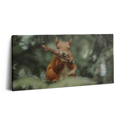 Tablou tipărite pe pânză 100x50 Veveriță sălbatică din natură