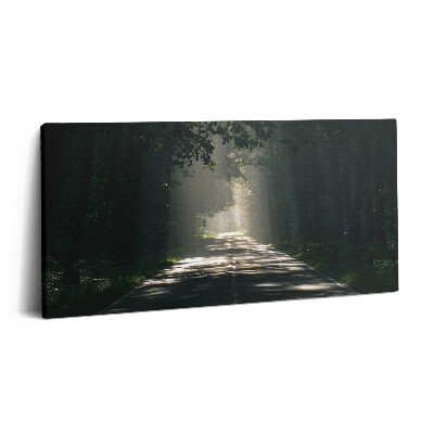 Tablou tipărite pe pânză 100x50 Drum forestier și fâșii de soare