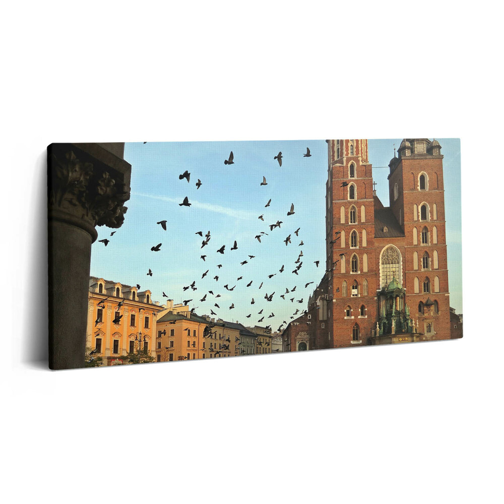 Tablou tipărite pe pânză 100x50 Porumbei în orașul Cracovia