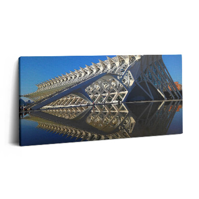 Tablou tipărite pe pânză 100x50 Muzeul de Știință din Valencia