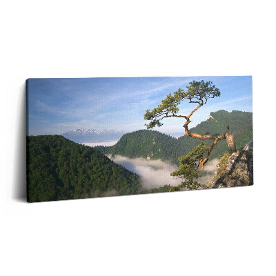 Tablou tipărite pe pânză 100x50 Vârful Sokolica din Munții Pieniny