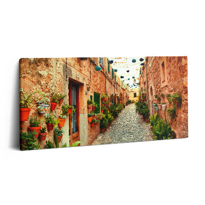 Tablou tipărite pe pânză 100x50 O stradă din satul Valldemossa