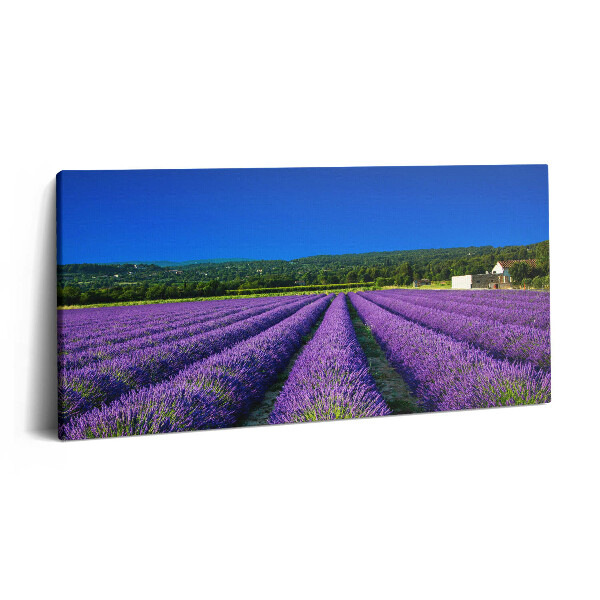 Tablou tipărite pe pânză 100x50 Câmp de lavandă în Provence