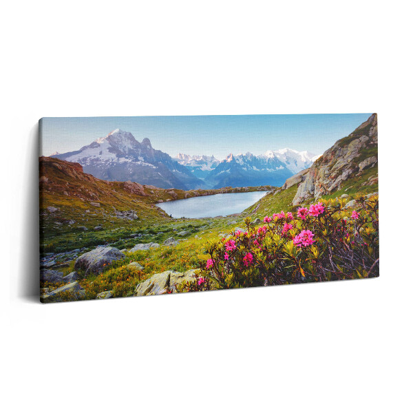 Tablou tipărite pe pânză 100x50 Ghețarul Mont Blanc Chamonix