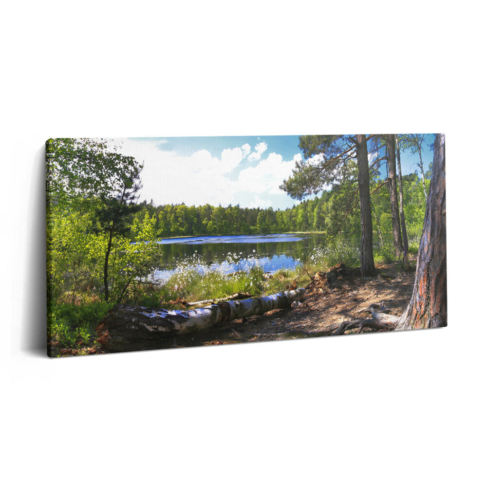 Imprimare tablou canvas 120x60 Vedere a lacului în pădure