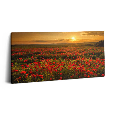 Imprimare tablou canvas 120x60 Peisaj al unei poiană cu maci