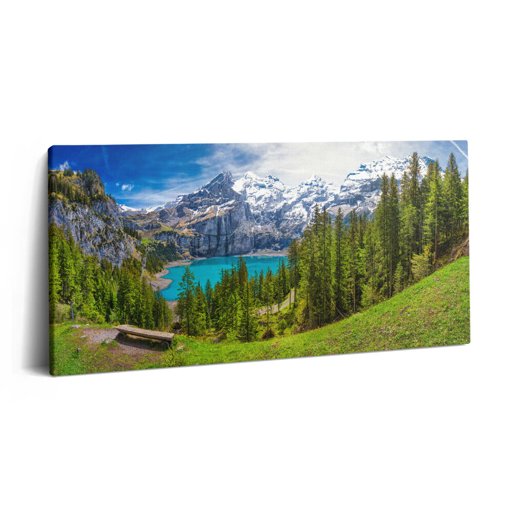 Imprimare tablou canvas 120x60 Peisaj de pajiști și munți