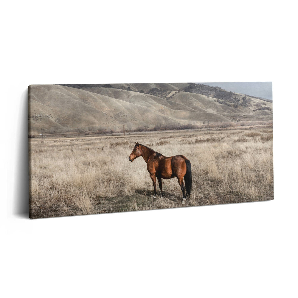 Imprimare tablou canvas 120x60 Armăsar în iarbă