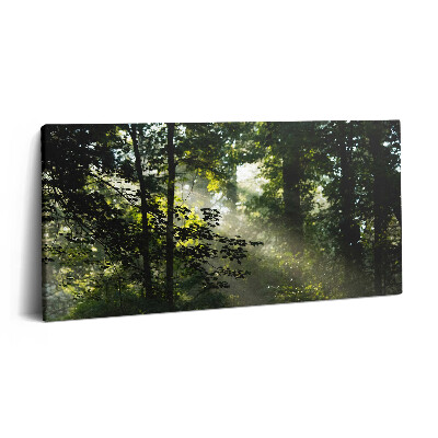 Imprimare tablou canvas 120x60 Razele soarelui și copacii