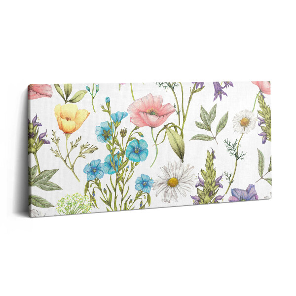 Imprimare tablou canvas 120x60 Ilustrație florală - pajiște cu flori