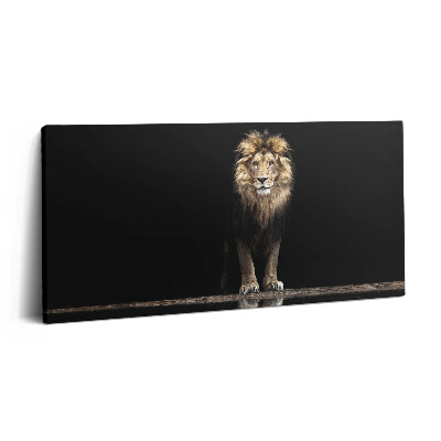 Imprimare tablou canvas 120x60 Leu singuratic, animal sălbatic