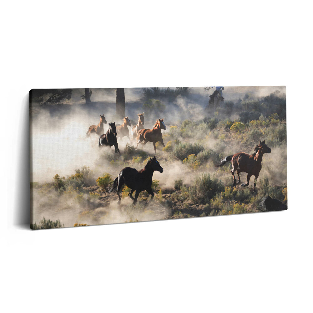 Imprimare tablou canvas 120x60 O turmă de cai în galop
