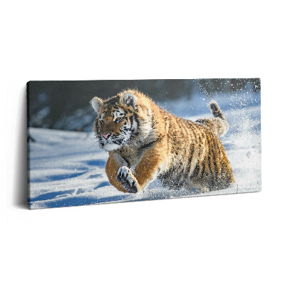 Imprimare tablou canvas 120x60 Tigru pufos în zăpadă
