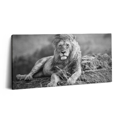 Imprimare tablou canvas 120x60 Leul animal maiestuos