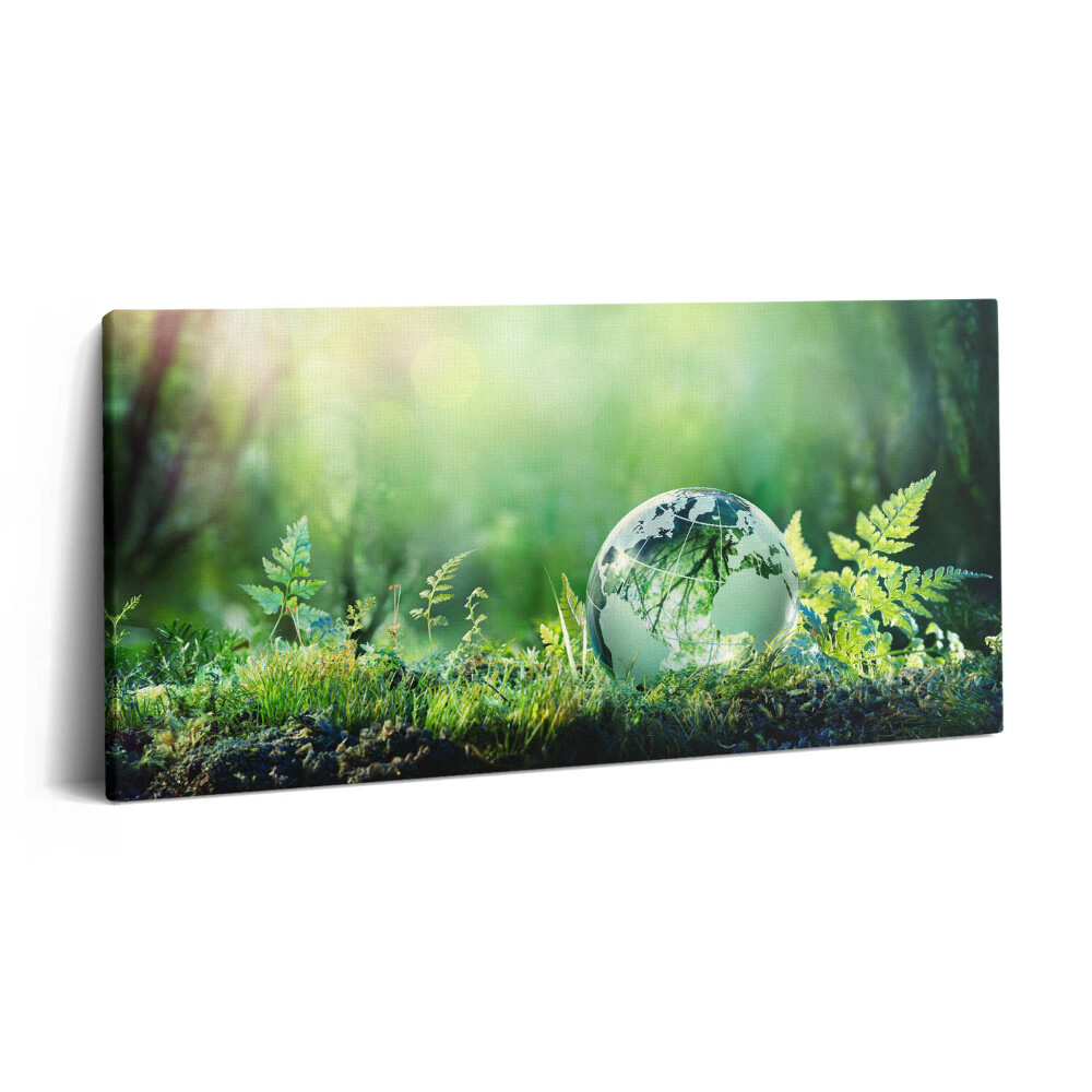 Imprimare tablou canvas 120x60 Glob pe iarbă